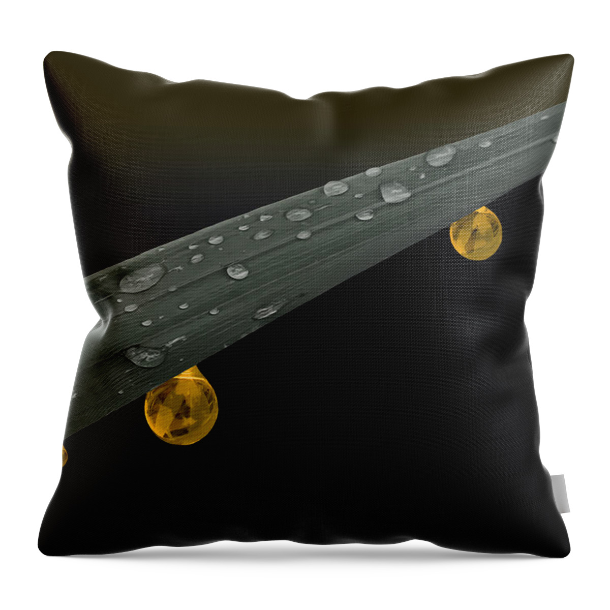 Grass Throw Pillow featuring the photograph Golden Dew by Angela Stanton