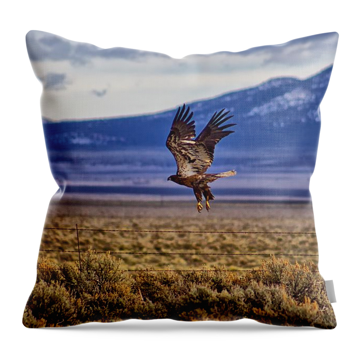 Landscape Throw Pillow featuring the photograph Golden Eagle by Michael W Rogers