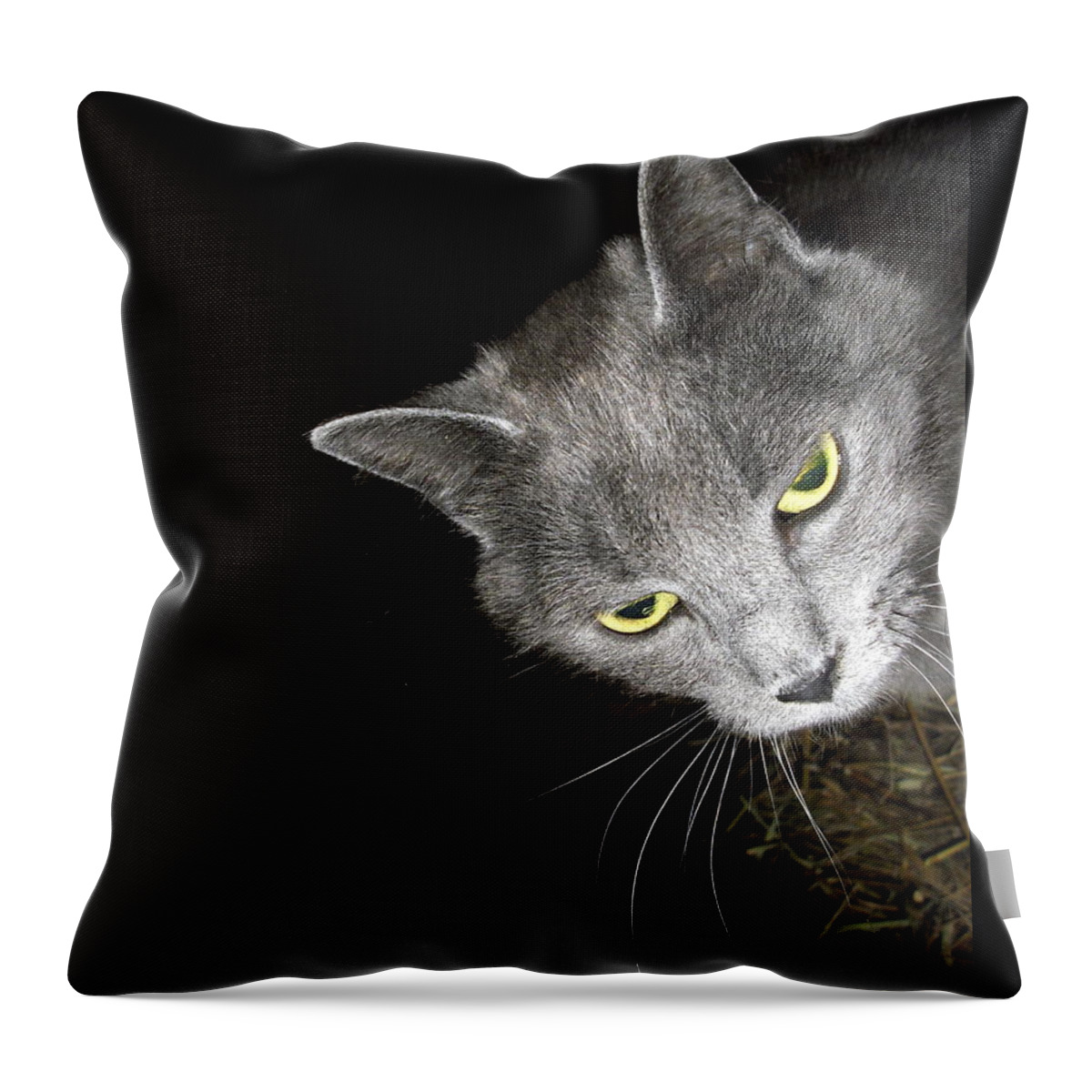 Cat Throw Pillow featuring the photograph Golden Eyes by Jodie Marie Anne Richardson Traugott     aka jm-ART
