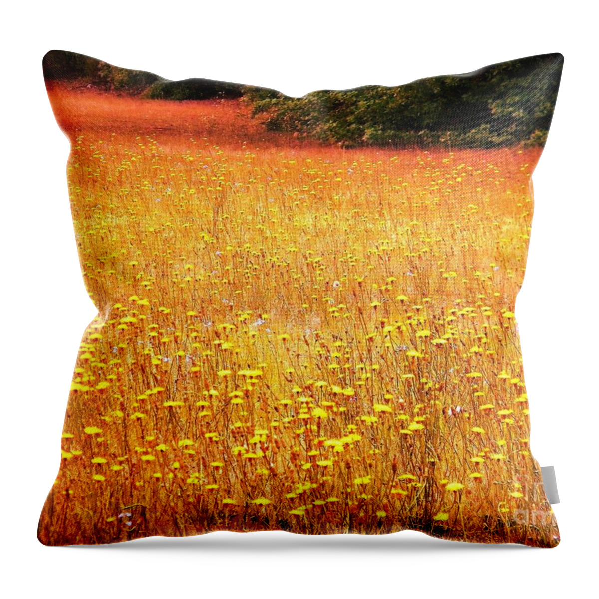 Postcard Throw Pillow featuring the digital art Golden Pastures by Matthew Seufer