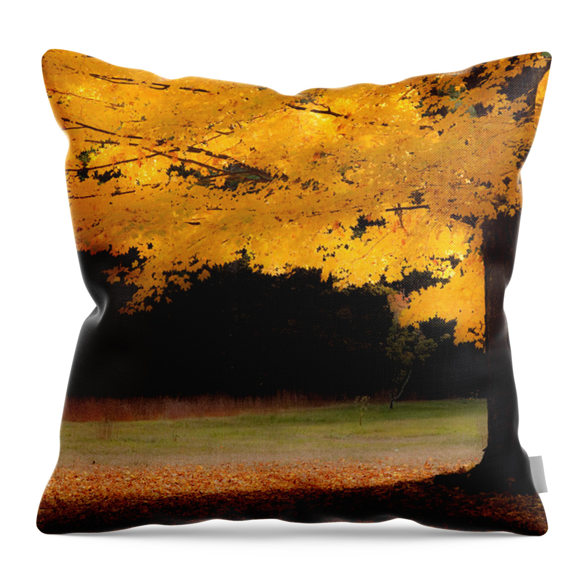 autumn Foliage New England Throw Pillow featuring the photograph Golden glow of autumn fall colors by Jeff Folger