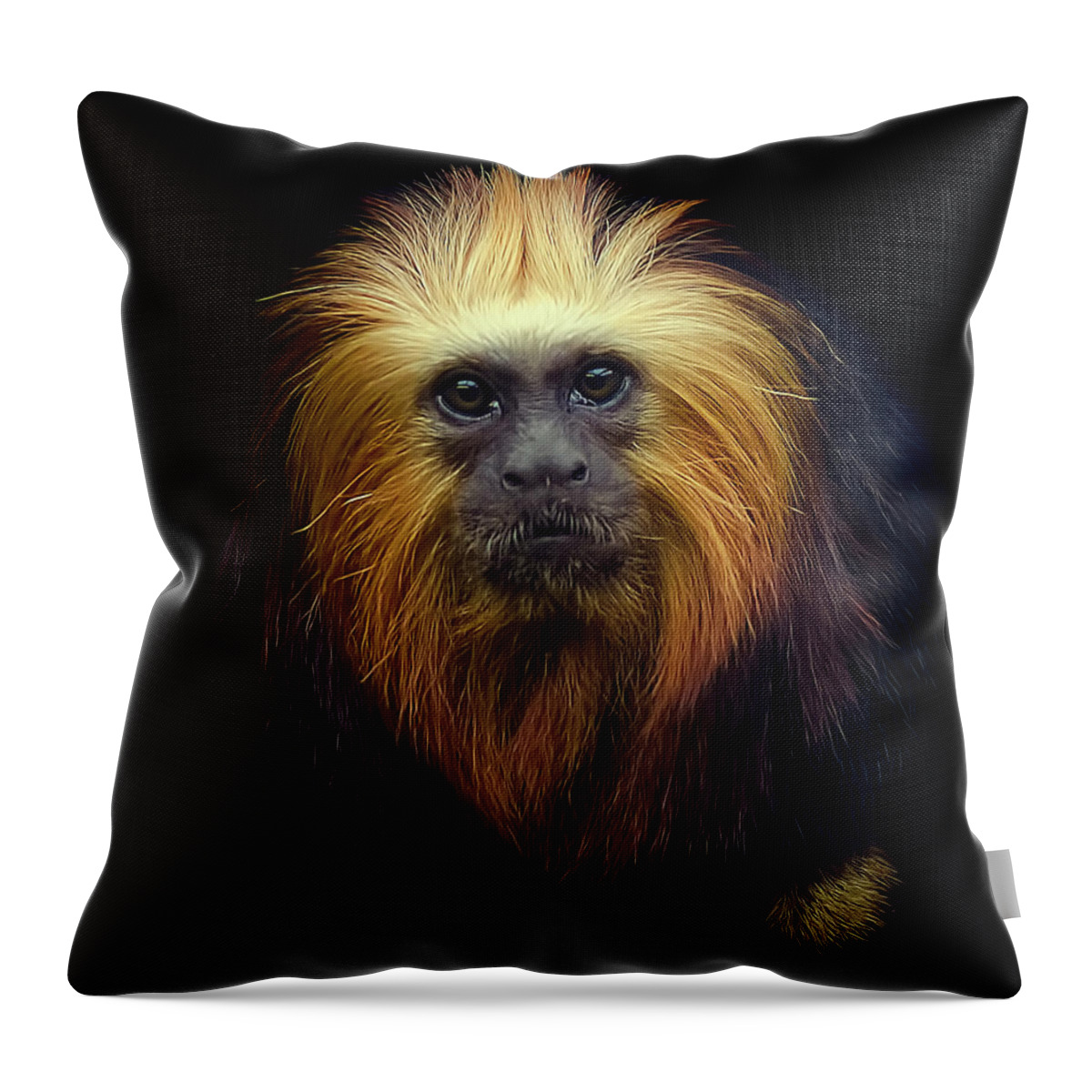 Animal Themes Throw Pillow featuring the photograph Golden Headed Lion Tamarin by Photo By Steve Wilson