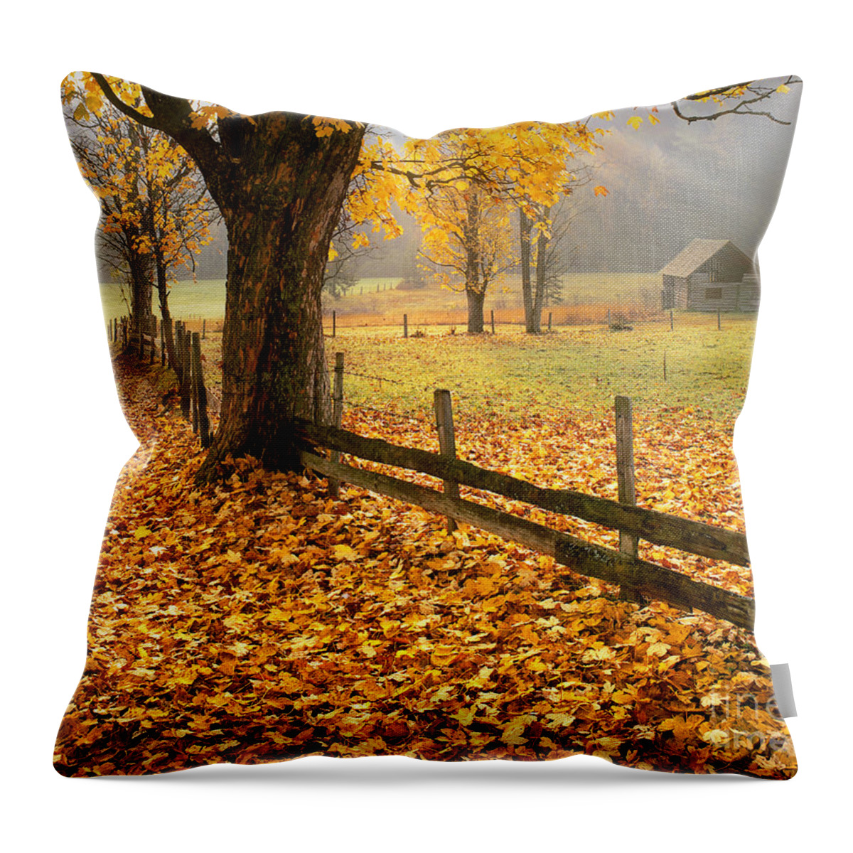 Europa Throw Pillow featuring the photograph Golden Hours by Edmund Nagele FRPS