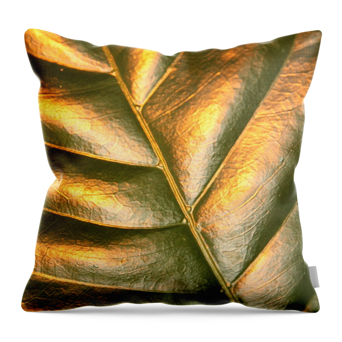 Gold Throw Pillow featuring the photograph Golden Leaf 2 by Carol Groenen