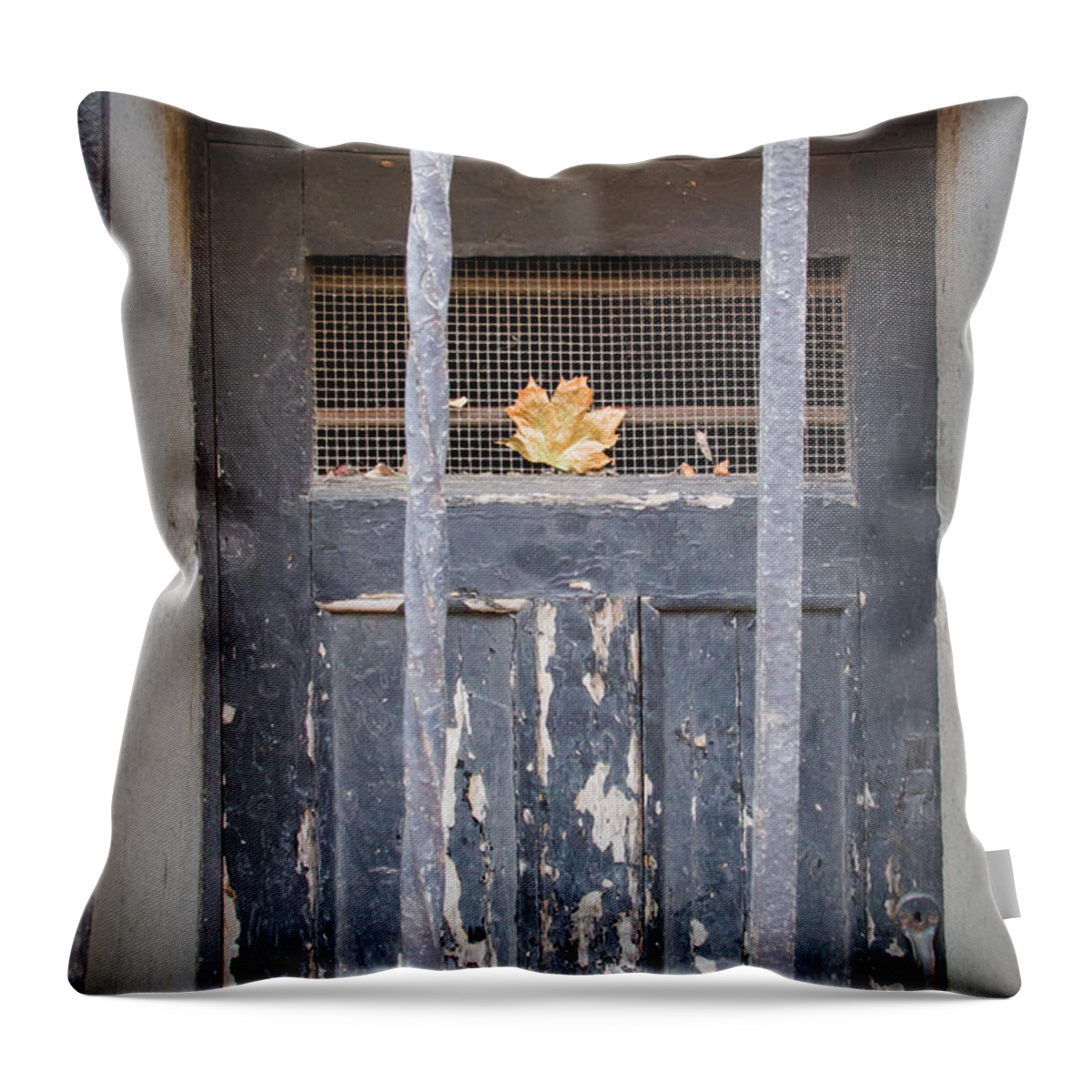 Boston Throw Pillow featuring the photograph Golden Leaf in the City by Natalie Rotman Cote