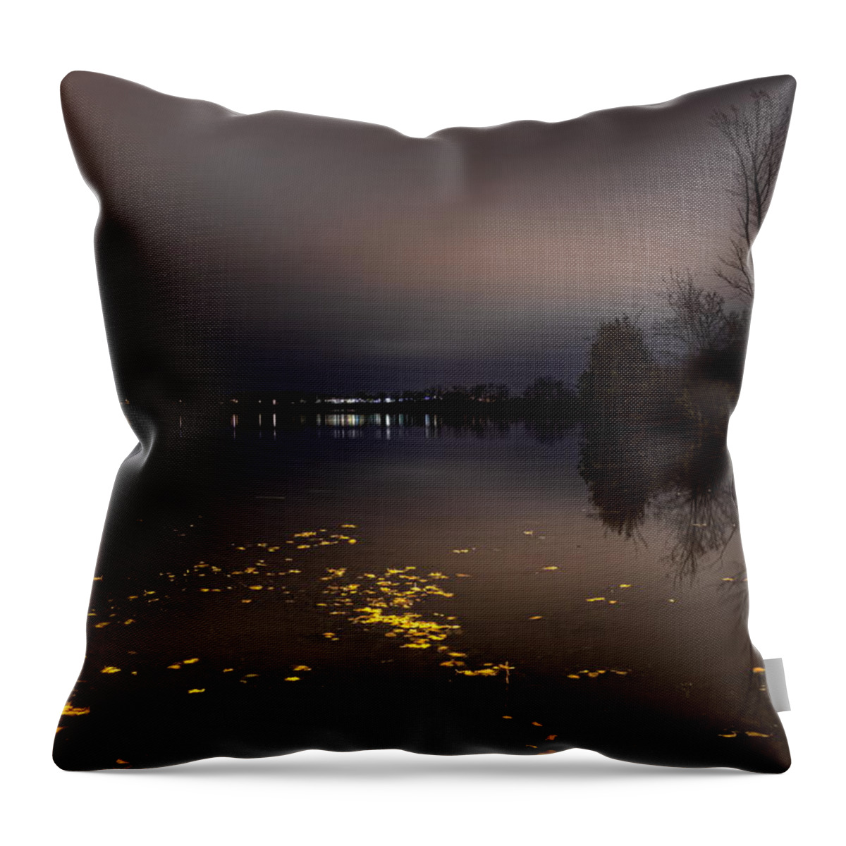 Wausau Throw Pillow featuring the photograph Golden Leaves On Lake Wausau by Dale Kauzlaric