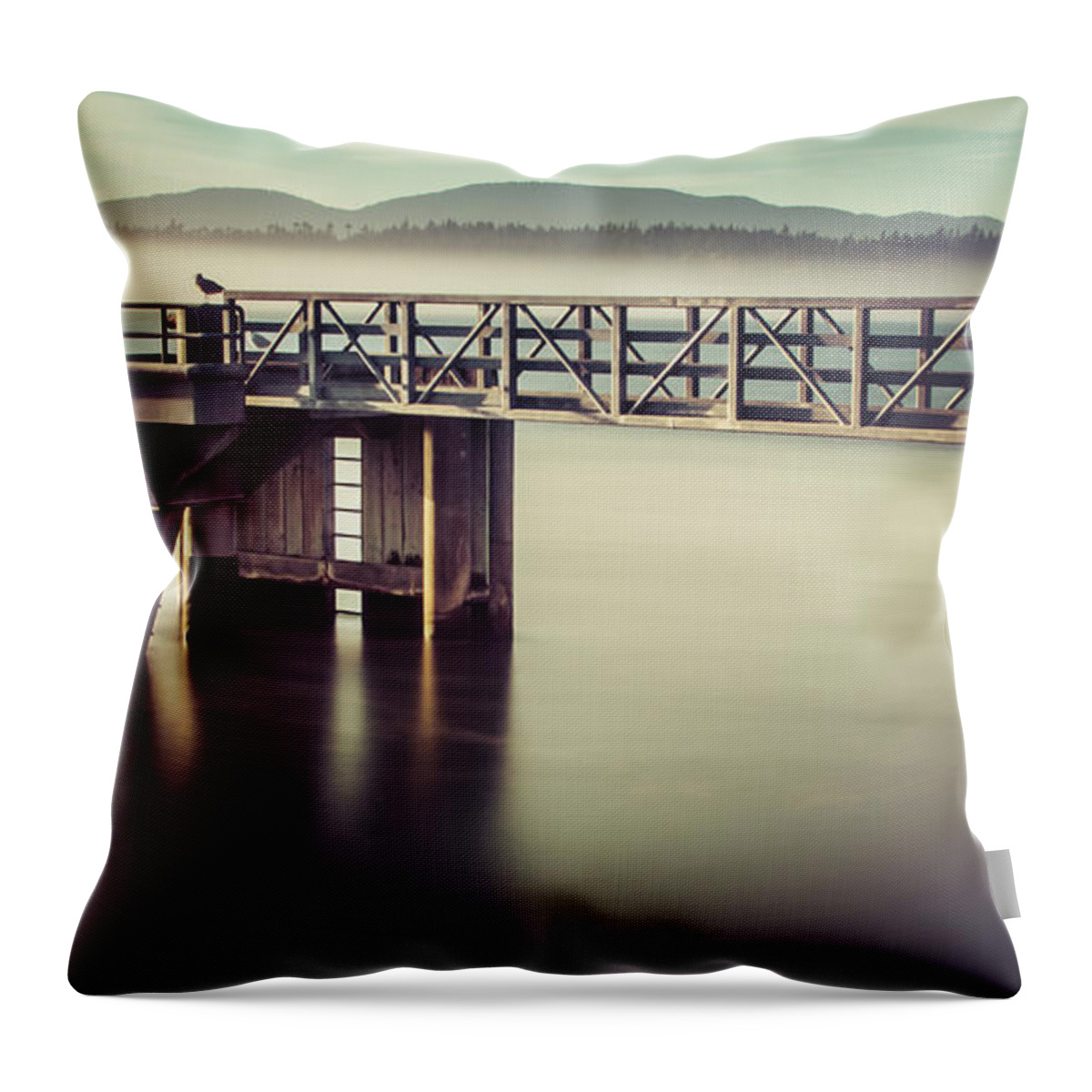 Blue Hour Throw Pillow featuring the photograph Golden Light And Fog by Tony Locke