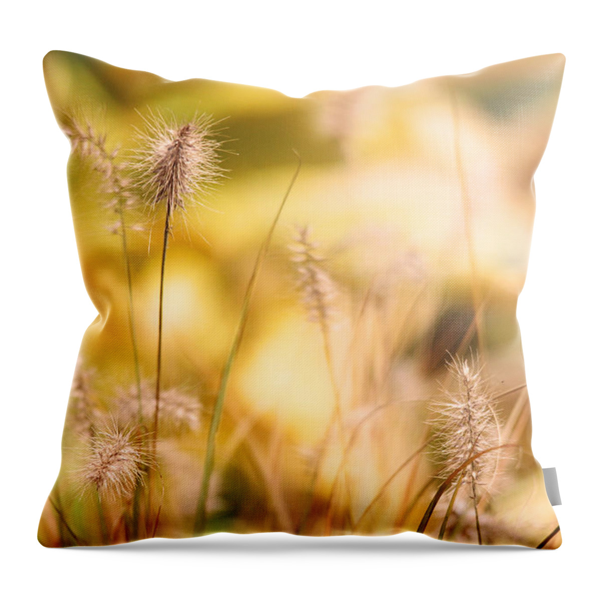 Autumn Throw Pillow featuring the photograph Golden Light of Autumn by Trina Ansel
