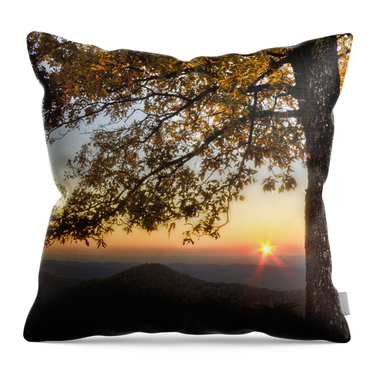 Appalachia Throw Pillow featuring the photograph Golden Lights by Debra and Dave Vanderlaan