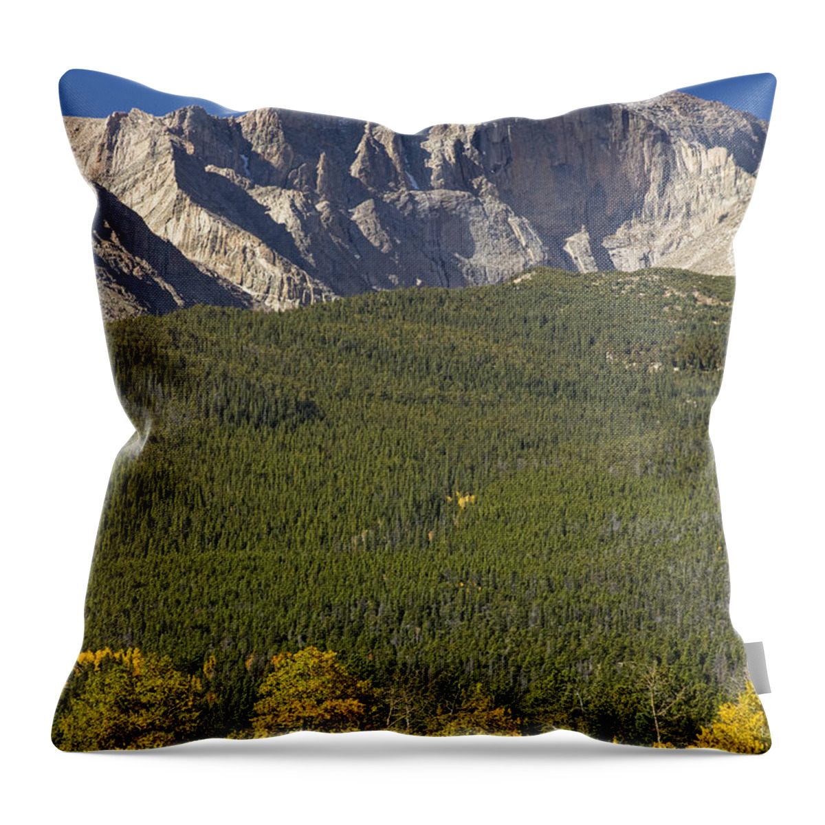 Colorado Throw Pillow featuring the photograph Golden Longs Peak View by James BO Insogna