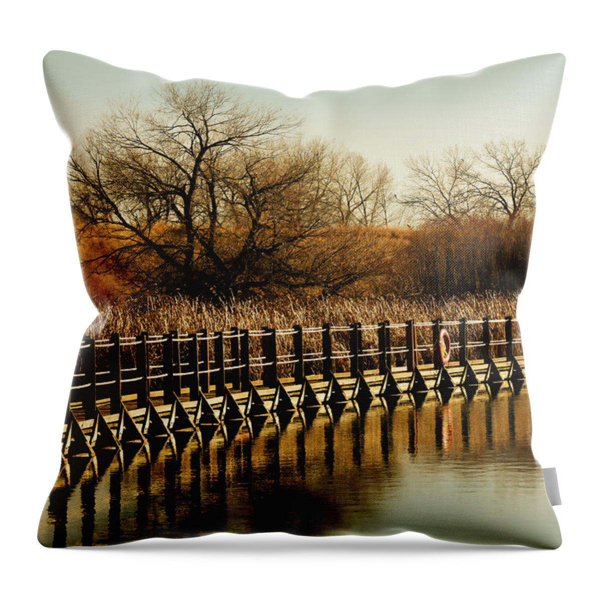 Gold Throw Pillow featuring the photograph Golden Mornings by Marilyn Hunt