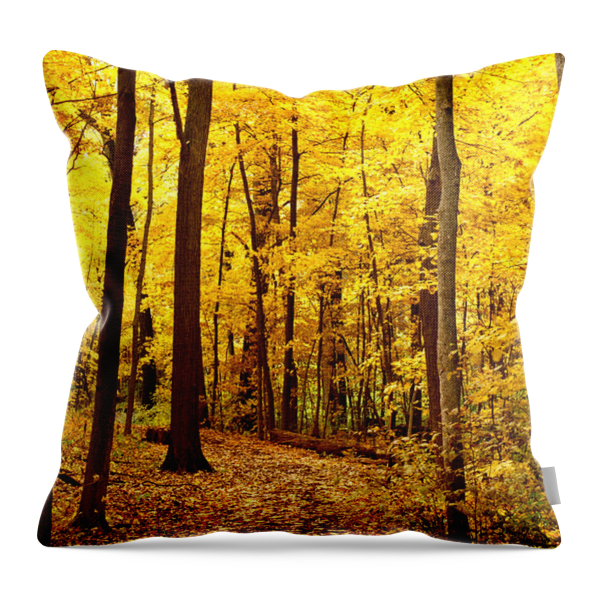 Autumn Throw Pillow featuring the photograph Golden Path by Valerie Fuqua