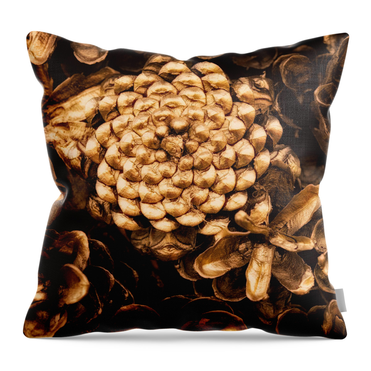 Pine Cones Throw Pillow featuring the photograph Golden Pine Cones by David Kay