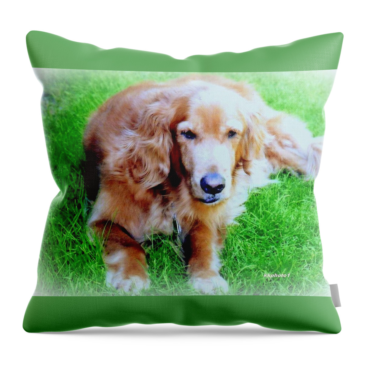 Dog Throw Pillow featuring the photograph Golden Retriever by Kay Novy