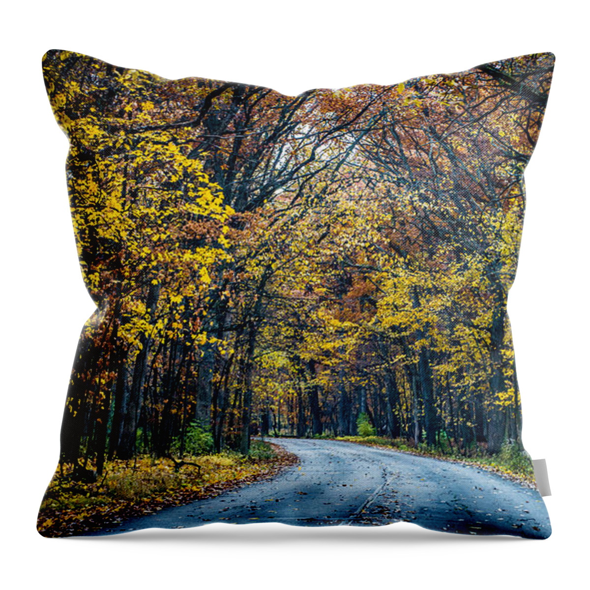 Road Throw Pillow featuring the photograph Golden Road by David Downs