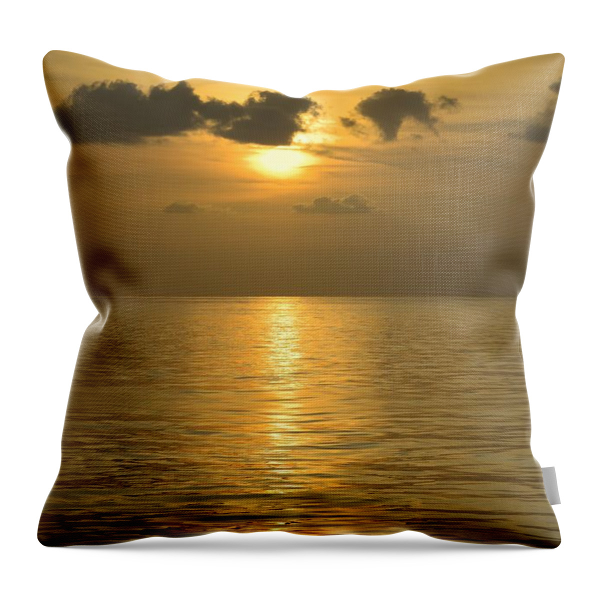 Seascape Throw Pillow featuring the photograph Golden sea by Bradford Martin
