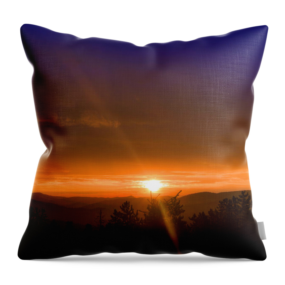 Sunrise Throw Pillow featuring the photograph Golden Sunrise by Matt Swinden
