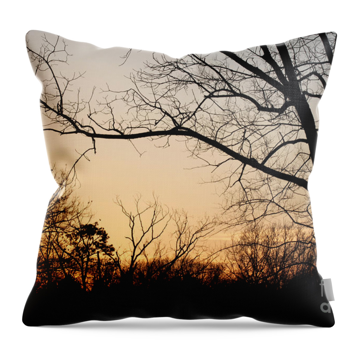 Sunset Throw Pillow featuring the photograph Golden Sunset by Todd Blanchard