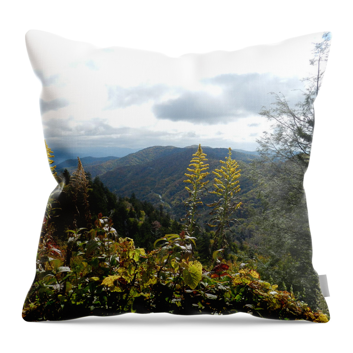 Mountain View Throw Pillow featuring the photograph Golden View by Deborah Ferree