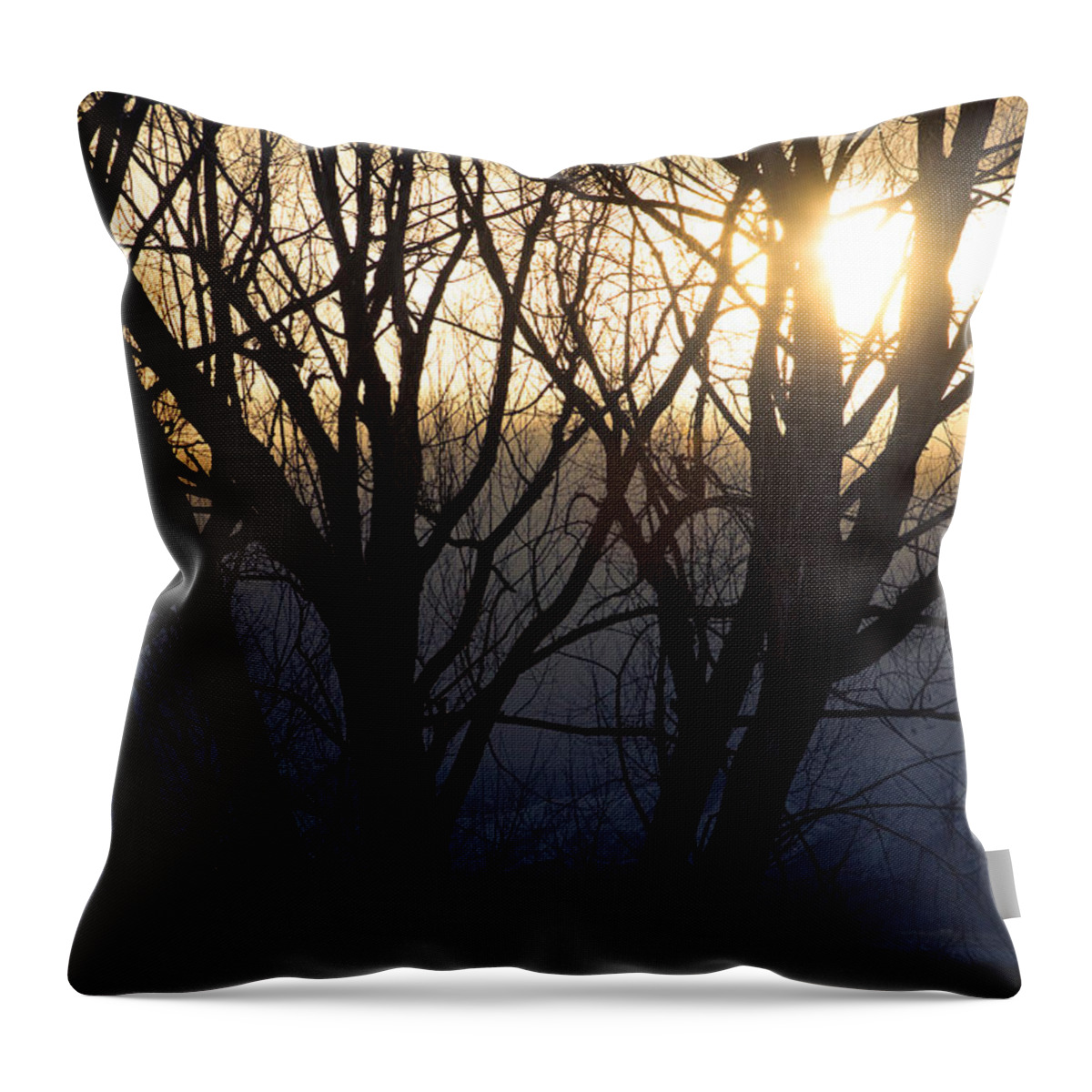 Trees Throw Pillow featuring the photograph Golden Winter Glow by James BO Insogna