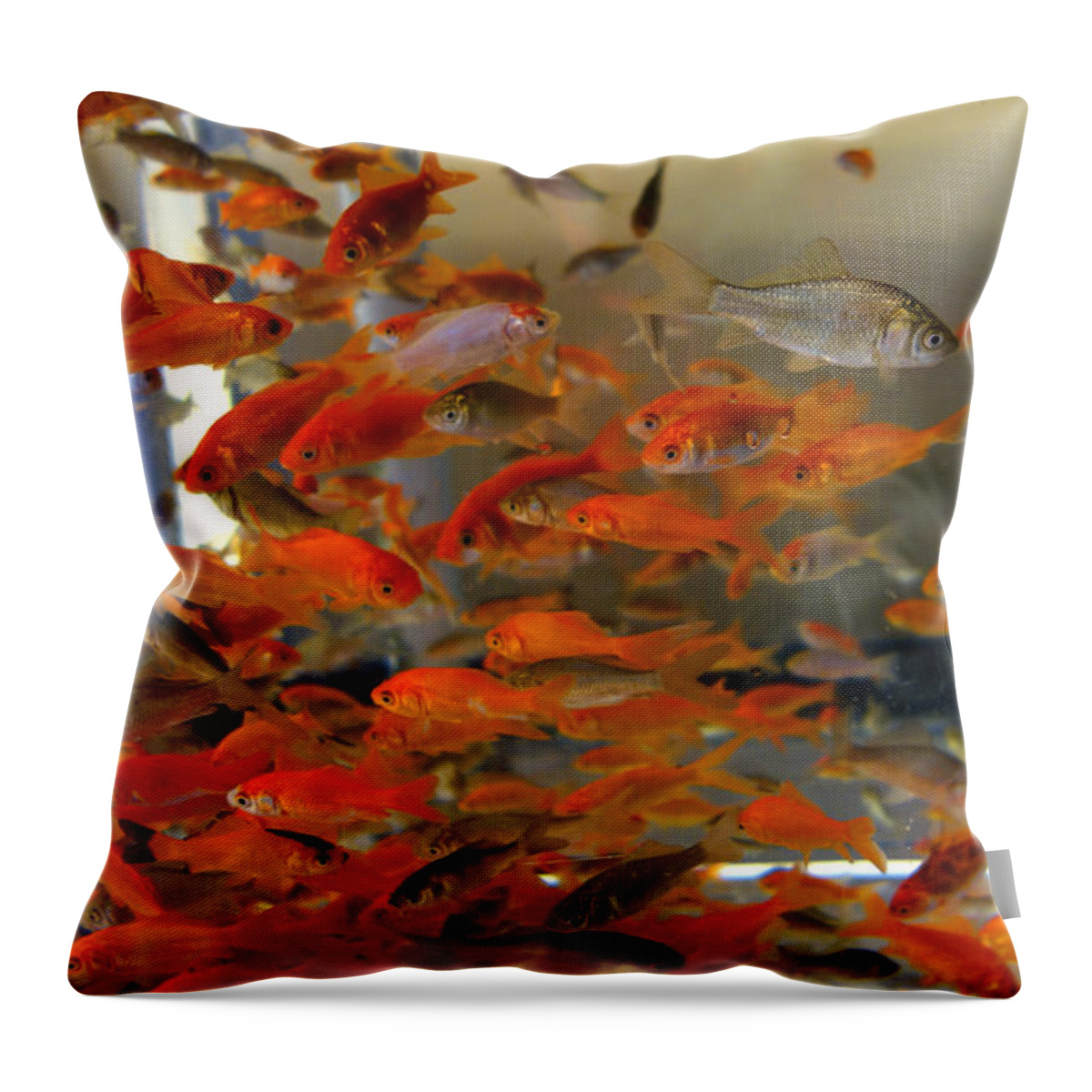 Goldfish Throw Pillow featuring the photograph Goldfish by Diane Lent