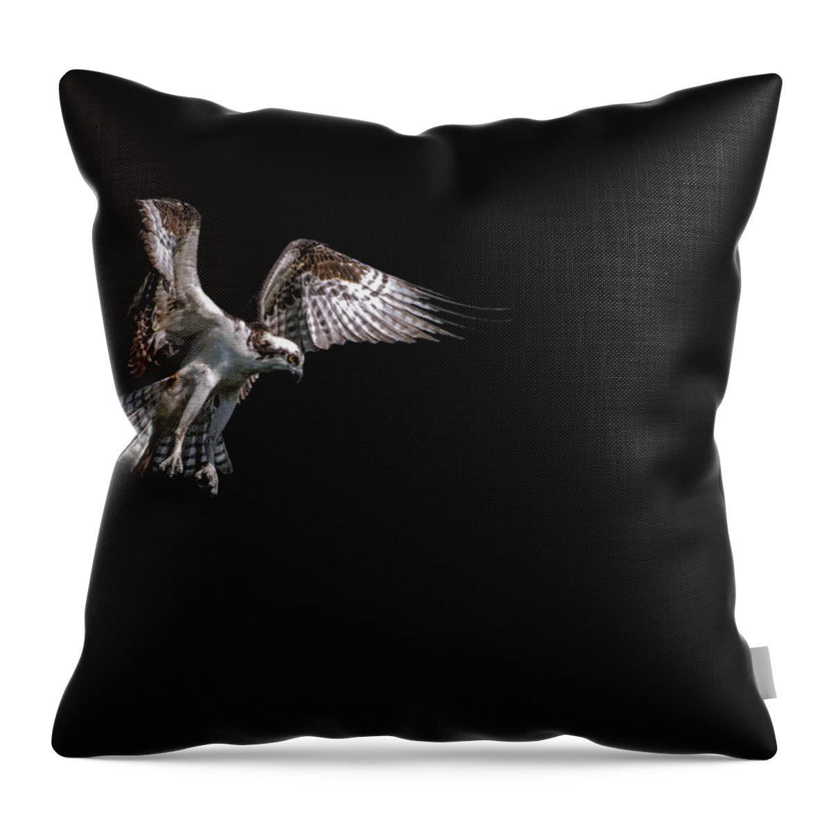 Crystal Yingling Throw Pillow featuring the photograph Gone Fishing by Ghostwinds Photography