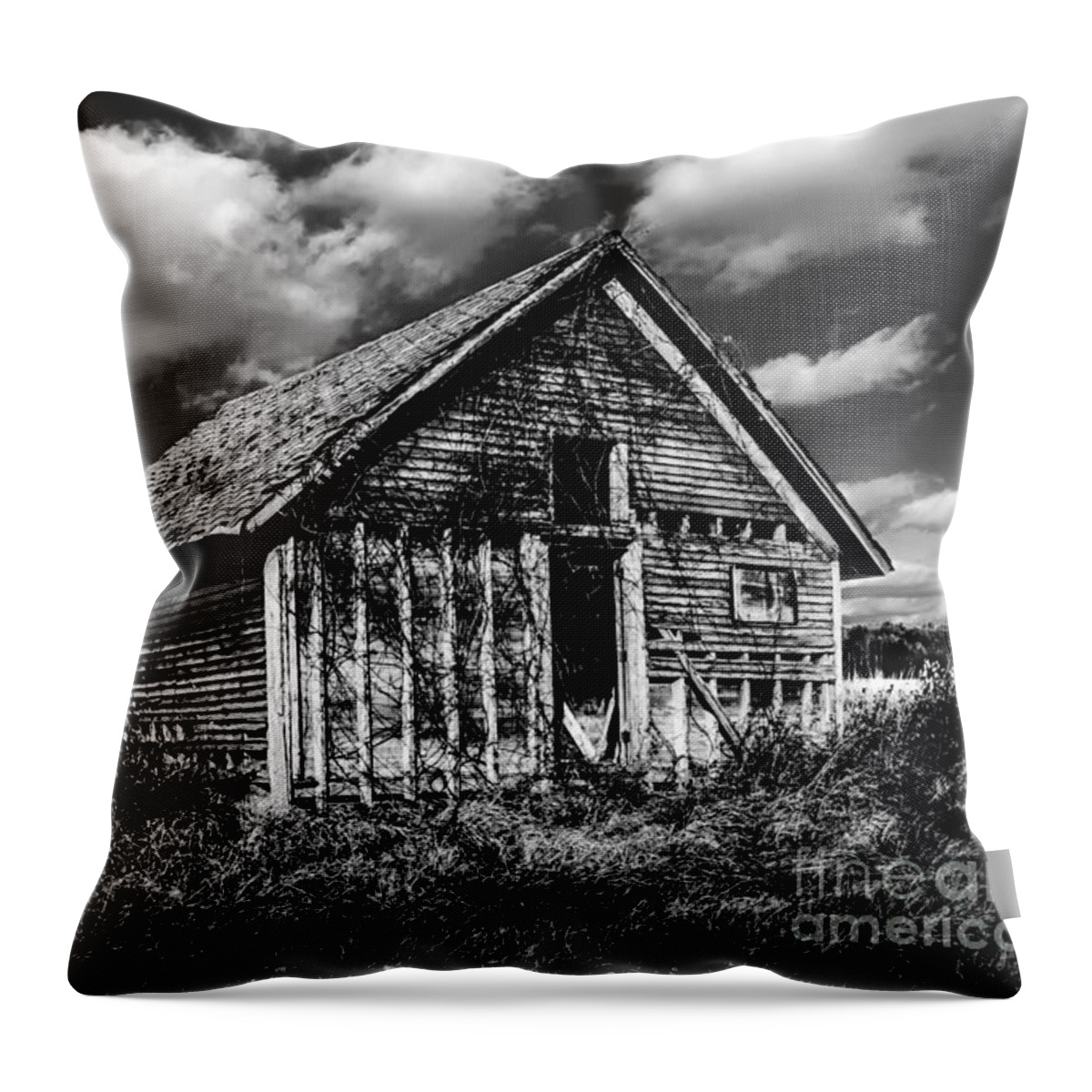 Barn Throw Pillow featuring the photograph Gone With The Weeds by Michael Arend