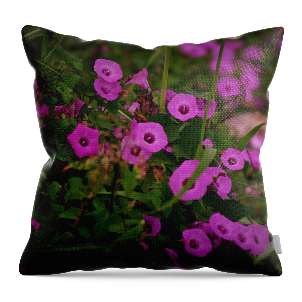 Wild Flowers Throw Pillow featuring the photograph I Stand Corrected....Smile.... by John Glass