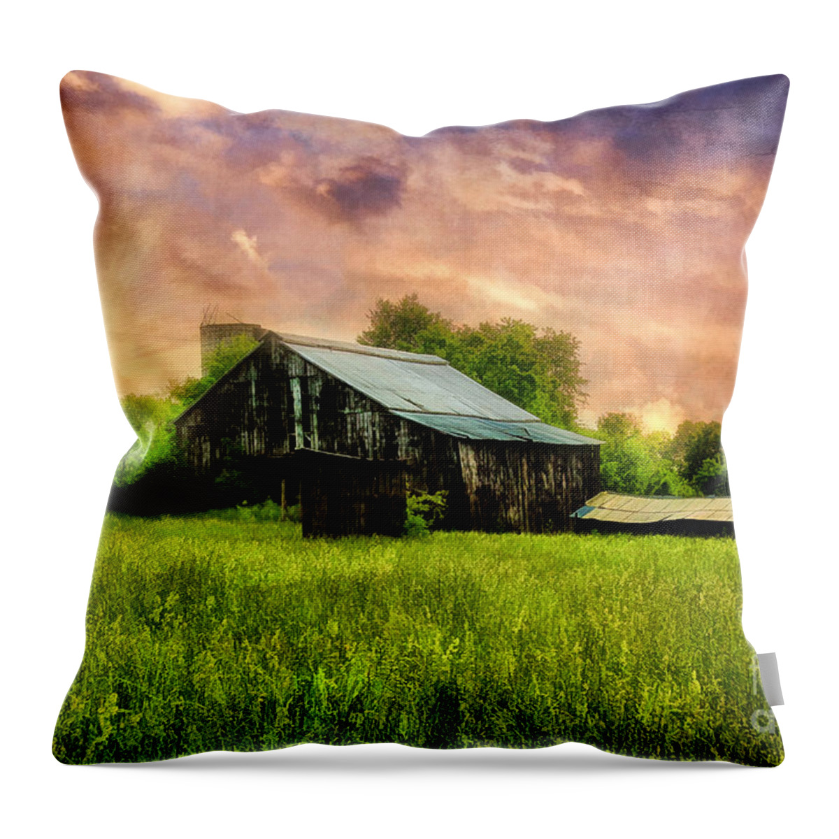 Sunrise Throw Pillow featuring the photograph Good Morning Kentucky by Darren Fisher