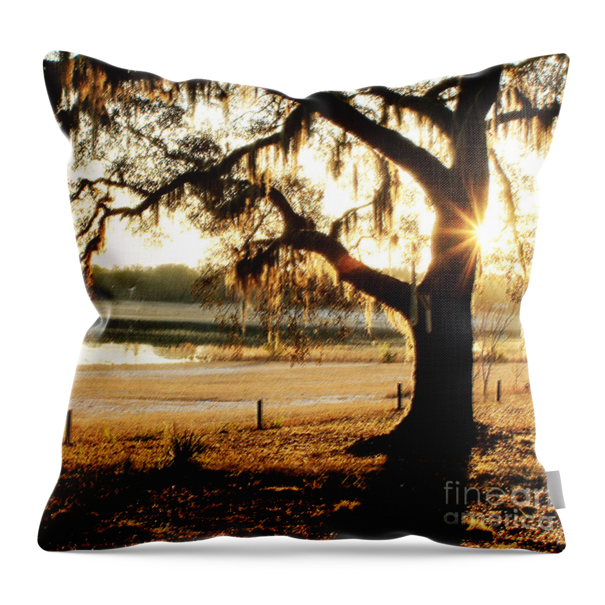 Morning Throw Pillow featuring the photograph Good Morning Mossy Oak by Janis Lee Colon