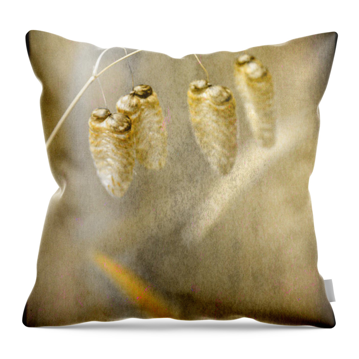 Grasses Throw Pillow featuring the photograph Good to be alone by Chris Armytage