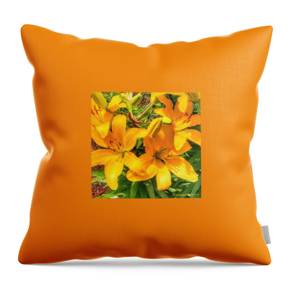 Yellowmonday Throw Pillow featuring the photograph Good #yellowmonday Morning To All by Anna Porter