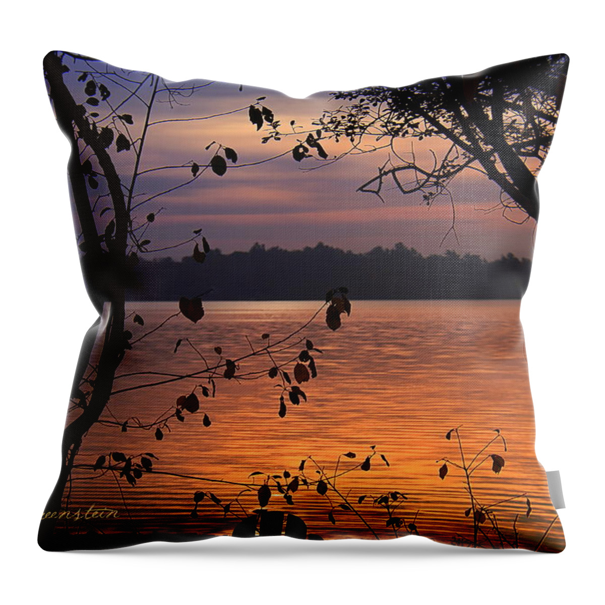 Lake Throw Pillow featuring the photograph Goodnight Lake by Cindy Greenstein