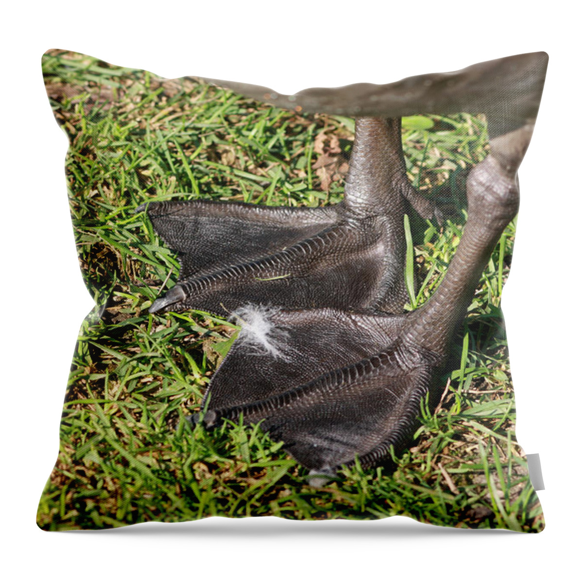 Adaptation Throw Pillow featuring the photograph Goose Feet by Jeanne White