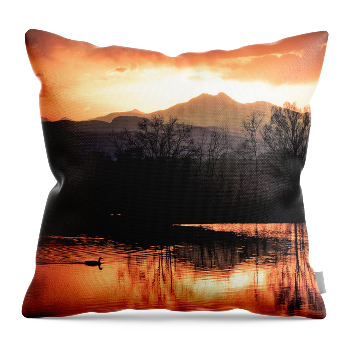 Sunsets Throw Pillow featuring the photograph Goose On Golden Ponds 1 by James BO Insogna