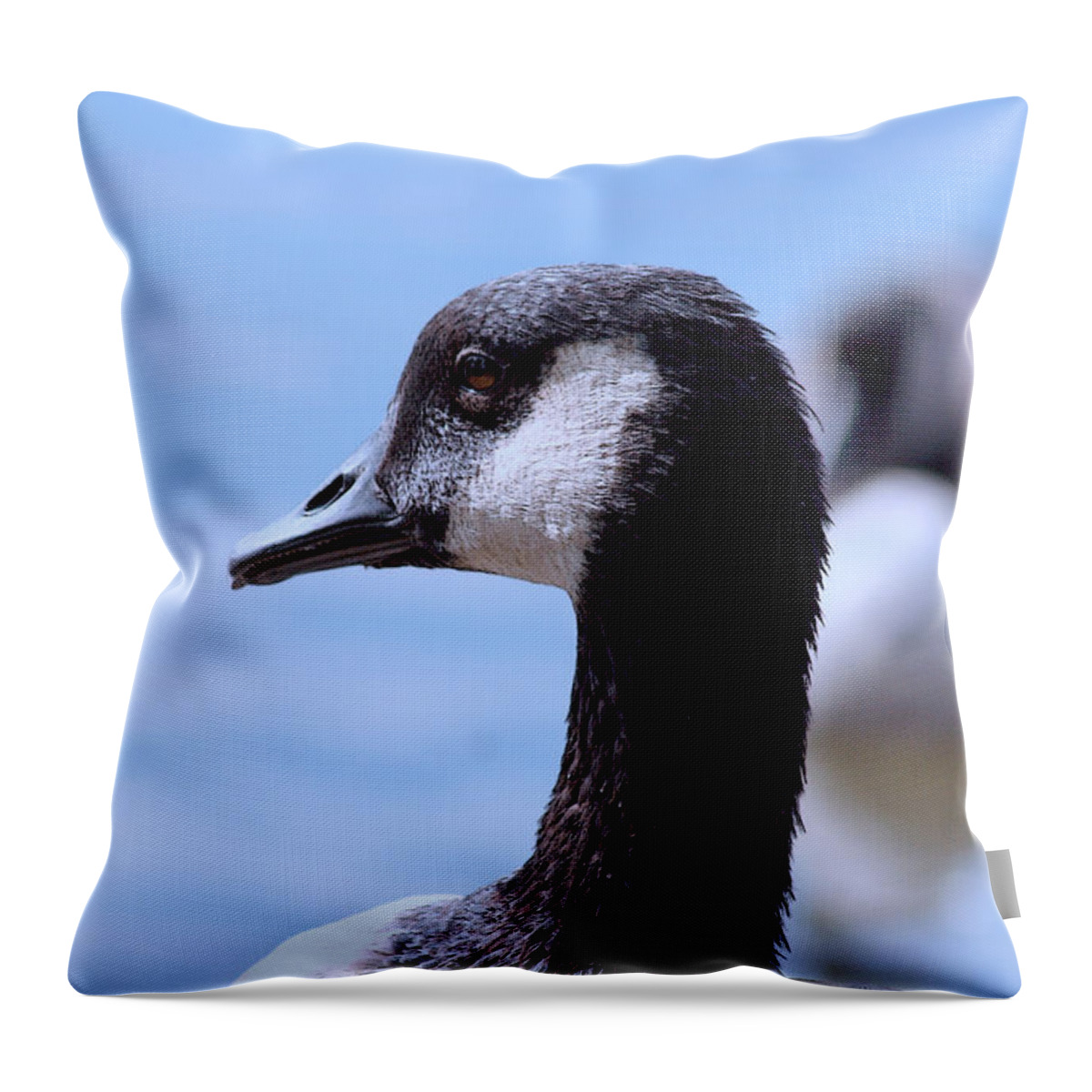 Canadian Goose Throw Pillow featuring the photograph Goose Portrait by Lesa Fine