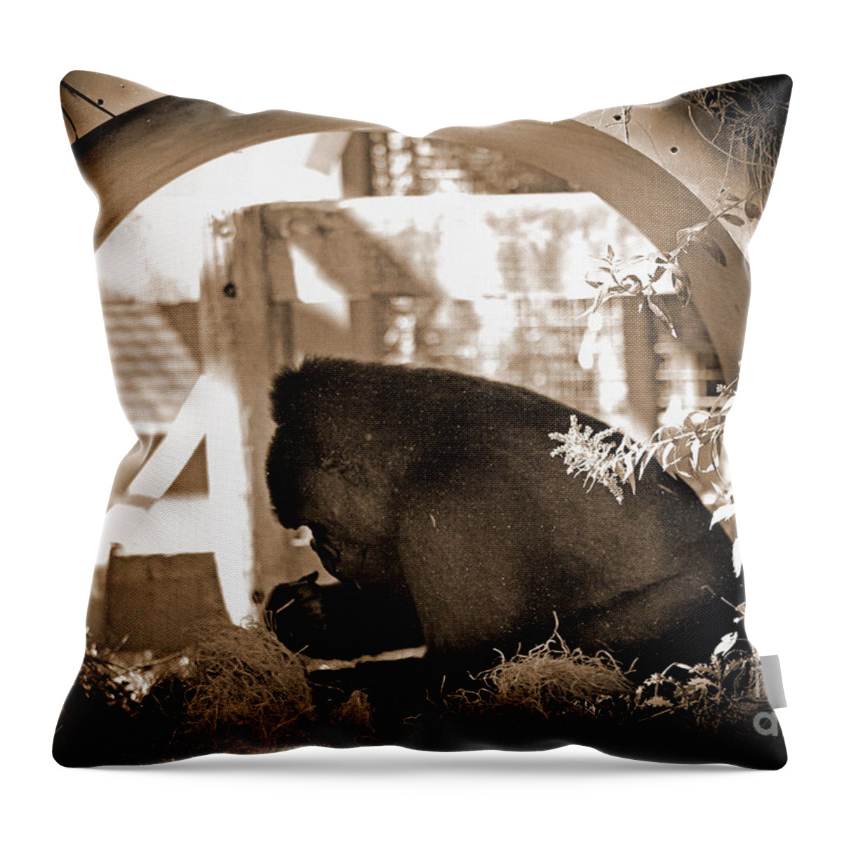 Monkey Throw Pillow featuring the photograph Gorilla by Karen Adams