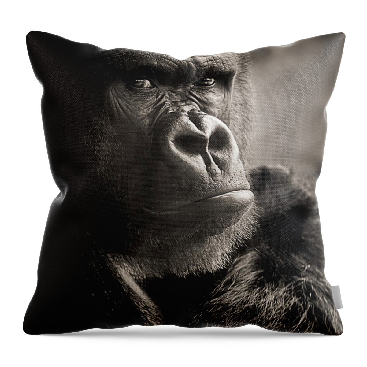 Gorilla Throw Pillow featuring the photograph Gorilla Poses I by Norma Warden