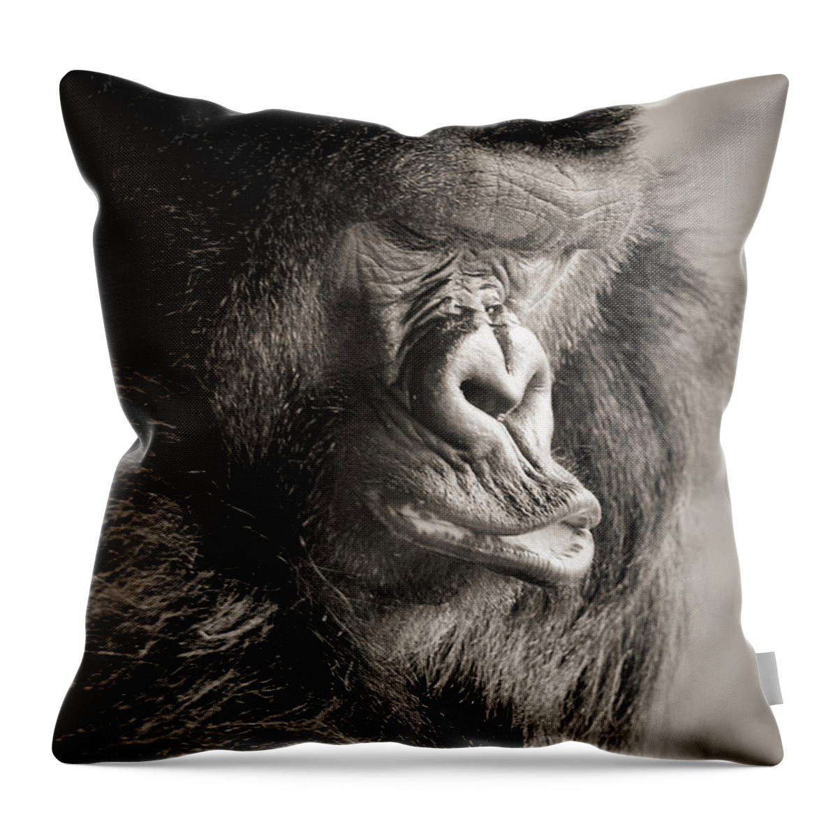 Gorilla Throw Pillow featuring the photograph Gorilla Poses III by Norma Warden