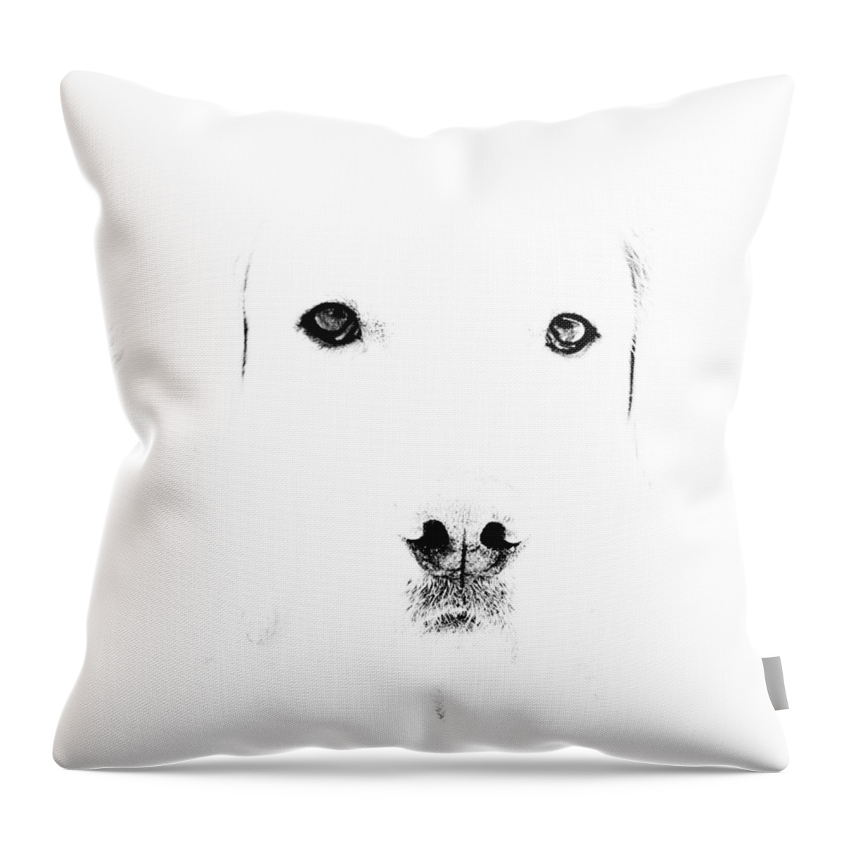 Dog Throw Pillow featuring the photograph Dog face by Mike Santis