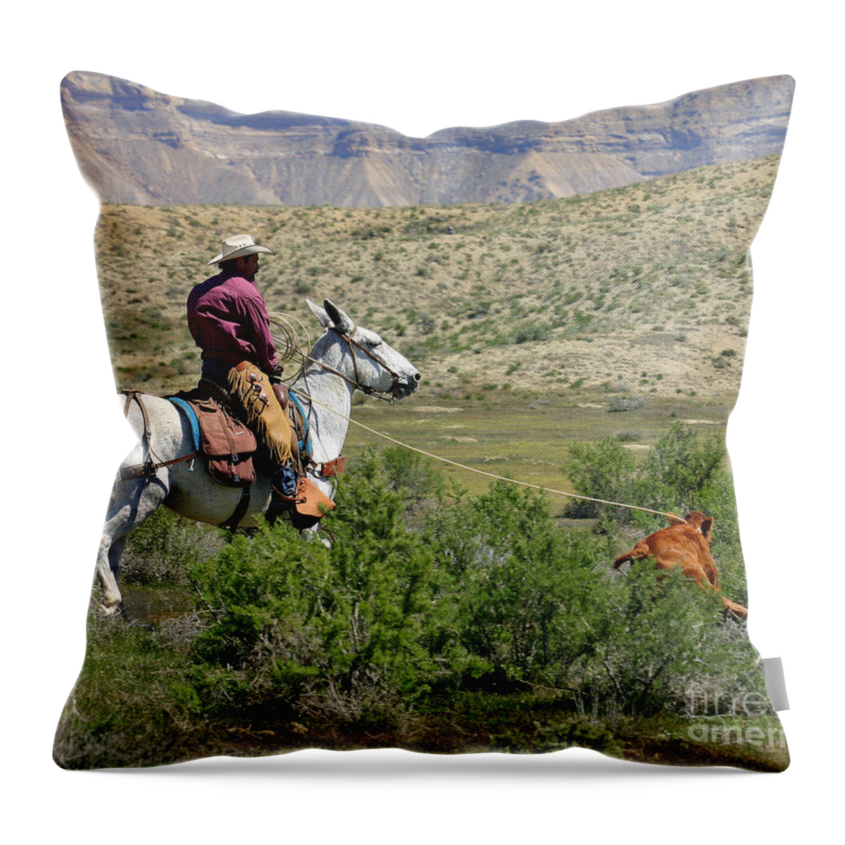 Colorado Throw Pillow featuring the photograph Gotcha' by Bob Hislop