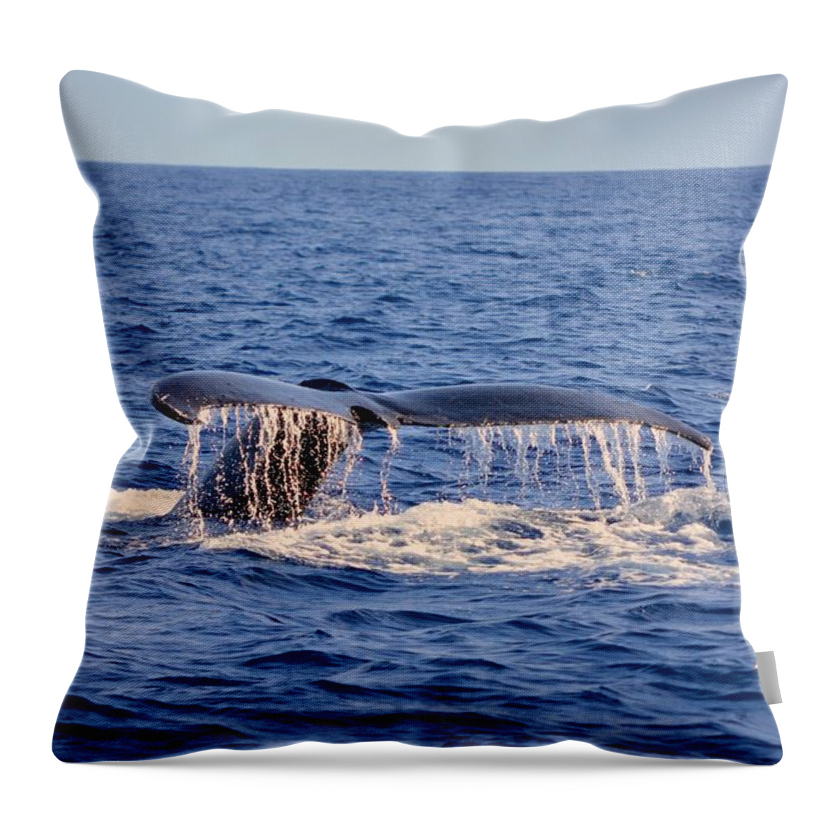 Humpback Whale Tail Throw Pillow featuring the photograph Gotta Go by Donna Shahan