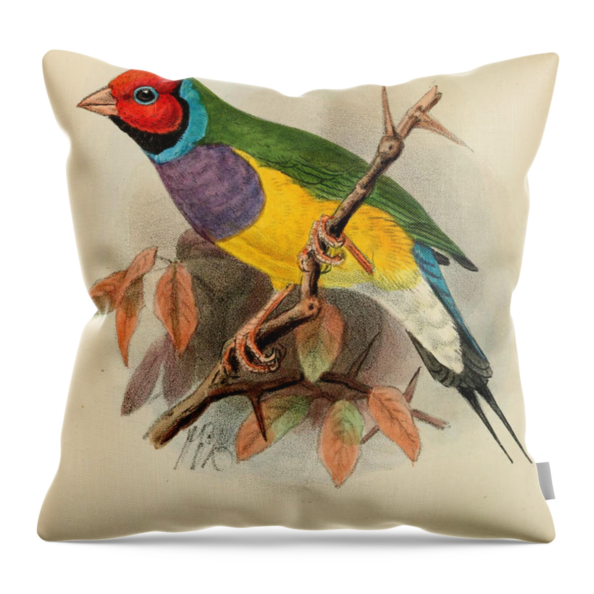 Gouldian Finch Throw Pillow featuring the painting Gouldian Finch by Dreyer Wildlife Print Collections 