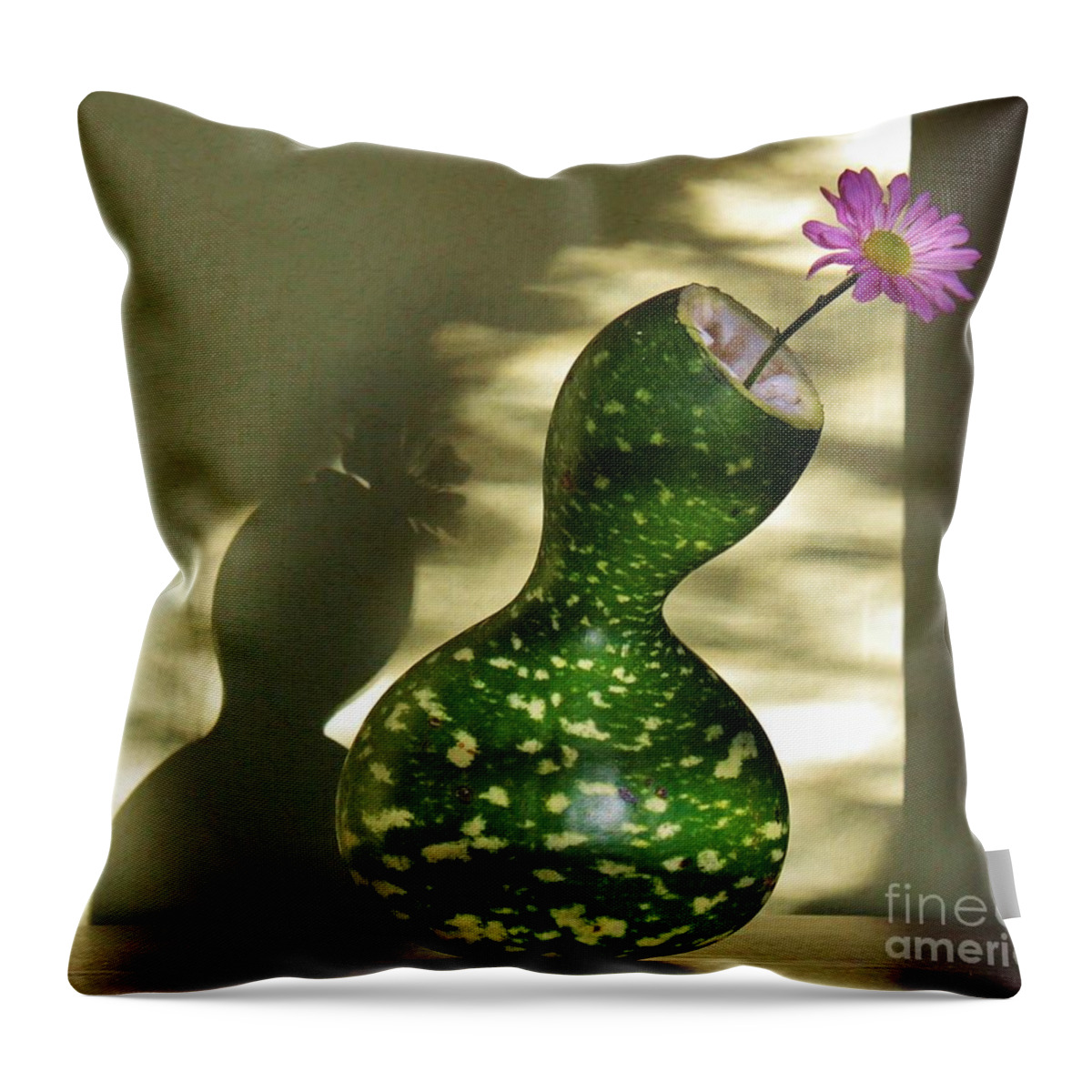 Gourds Throw Pillow featuring the photograph Gourdgeous by Marcia Breznay
