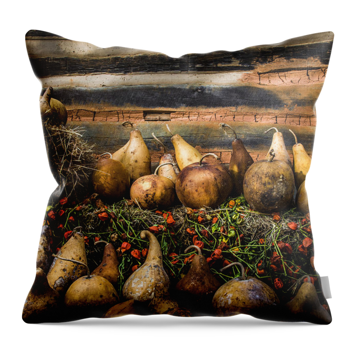 Appalachia Throw Pillow featuring the photograph Gourds by Debra and Dave Vanderlaan