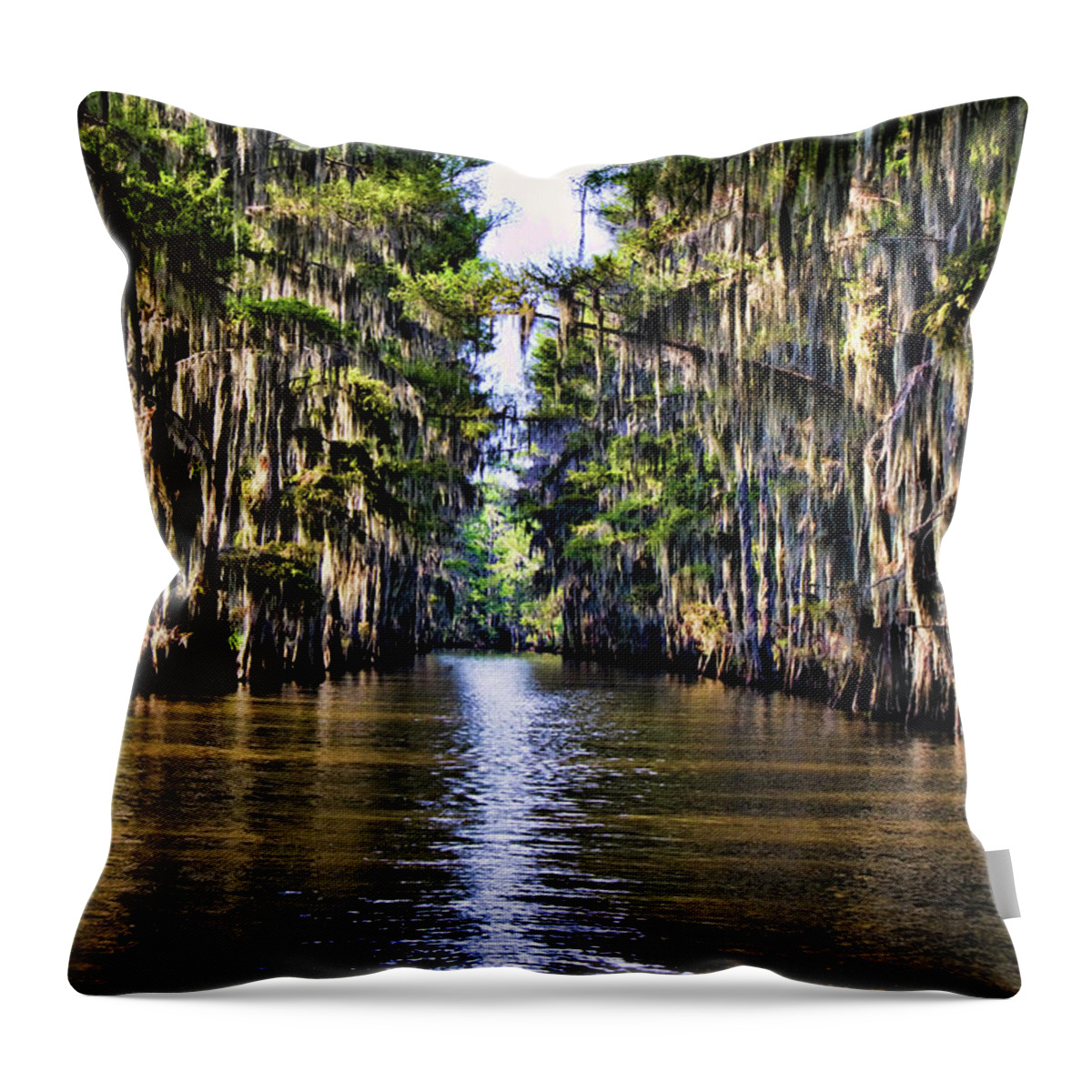 Bayou Throw Pillow featuring the photograph Government Ditch by Lana Trussell