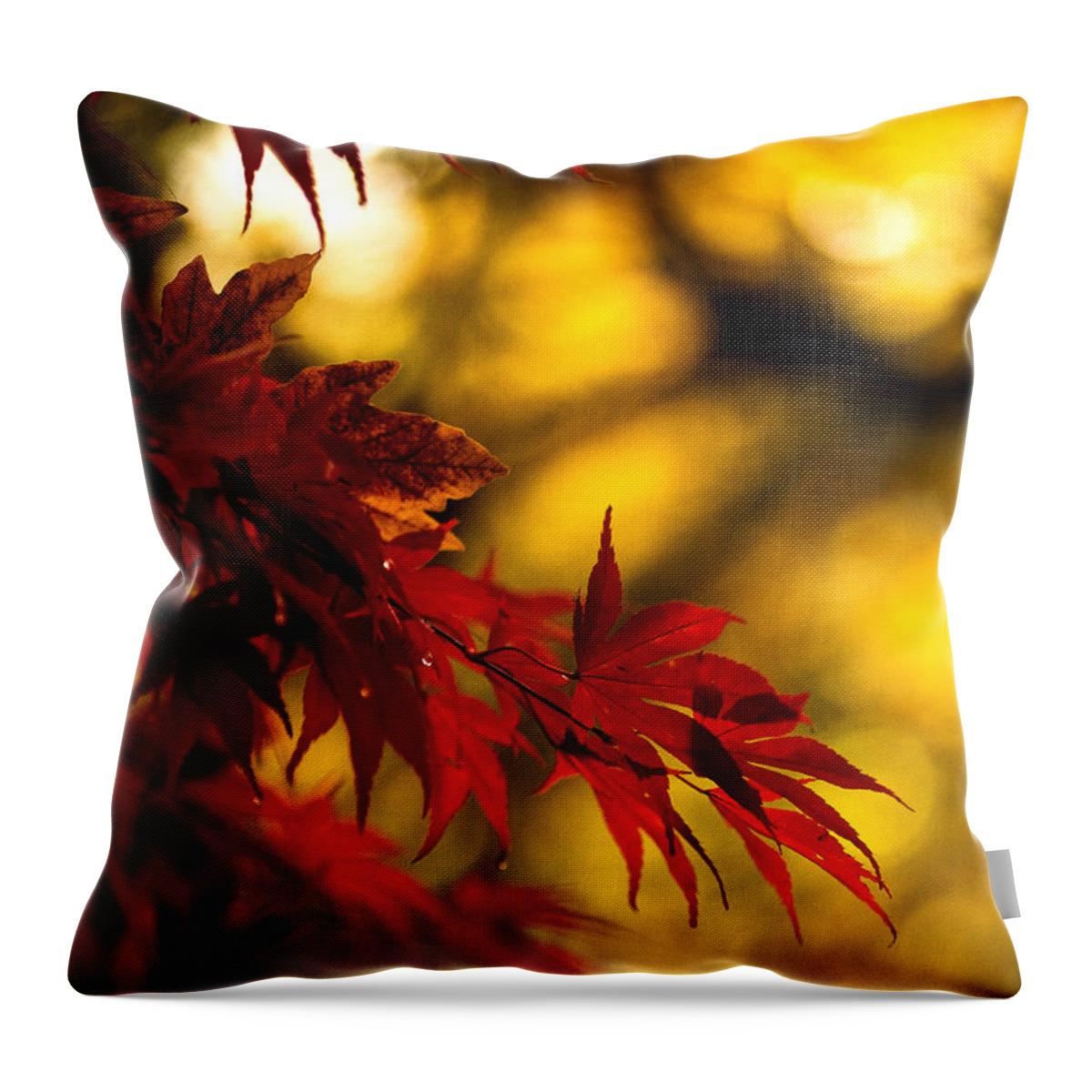 Leaves Throw Pillow featuring the photograph Graceful Leaves by Mike Reid