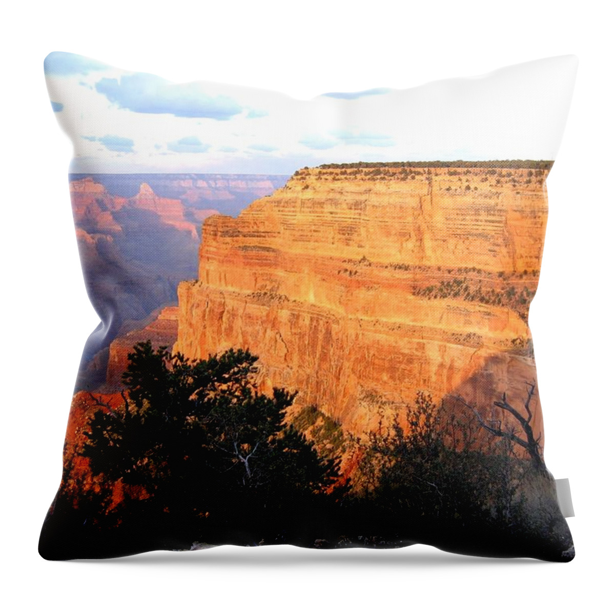 Grand Canyon 76 Throw Pillow featuring the photograph Grand Canyon 76 by Will Borden