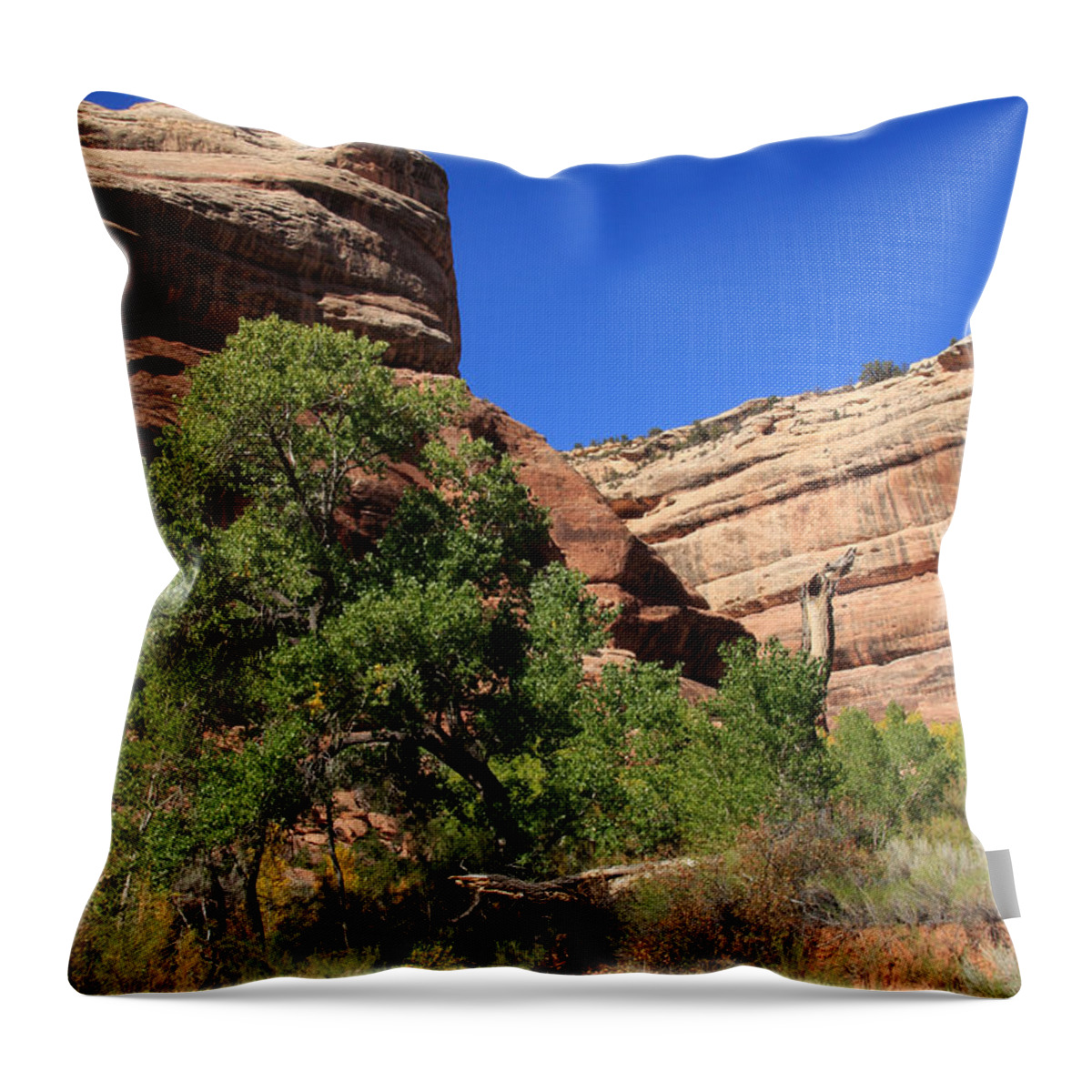 Aidan Moran Throw Pillow featuring the photograph Grand Gulch Canyon by Aidan Moran