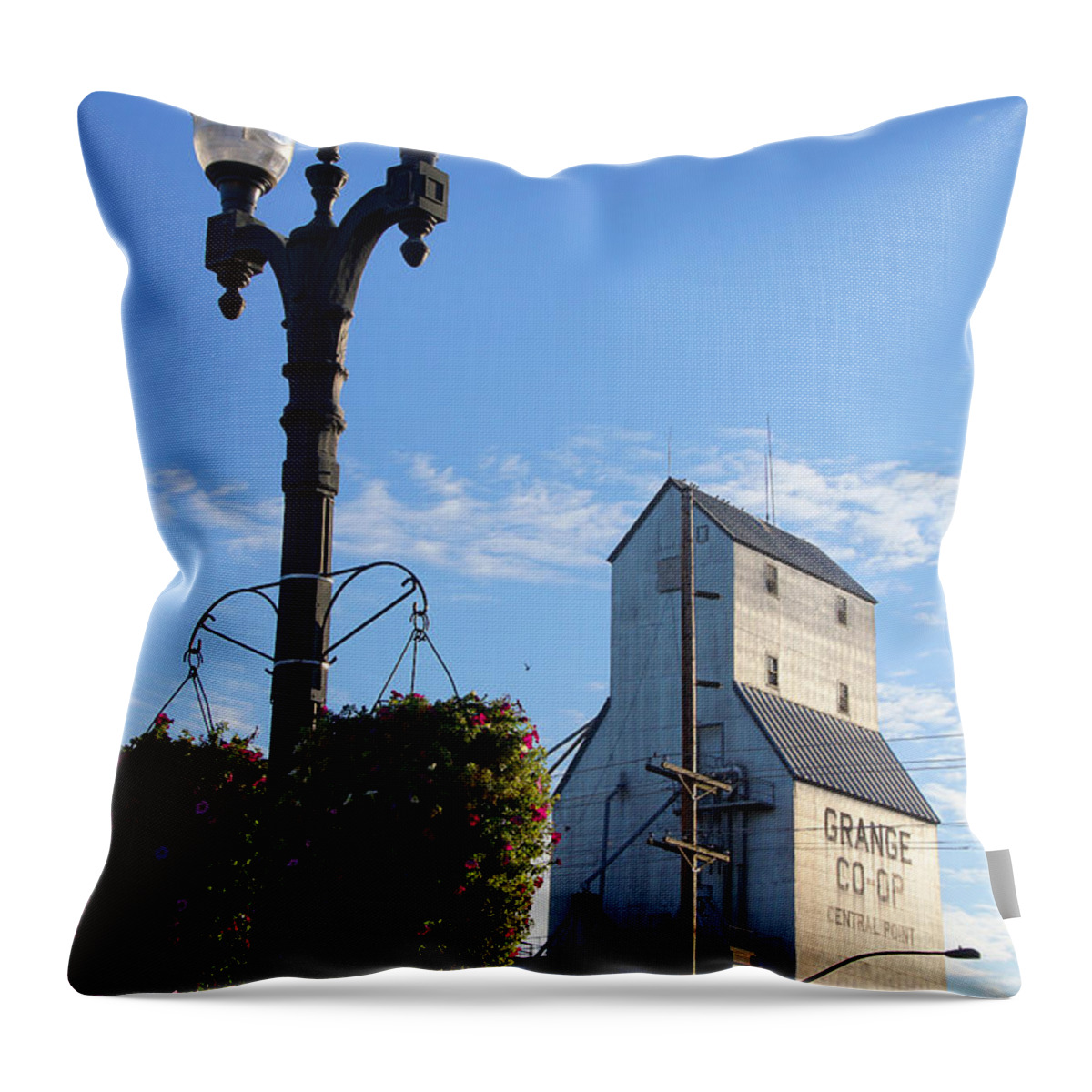 Grange Co-op Throw Pillow featuring the photograph Grange Co-op by Mick Anderson